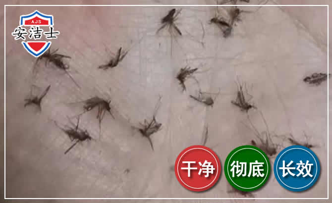 丽水蚊子防治-灭蚊