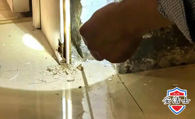 丽水房屋建筑防治白蚁