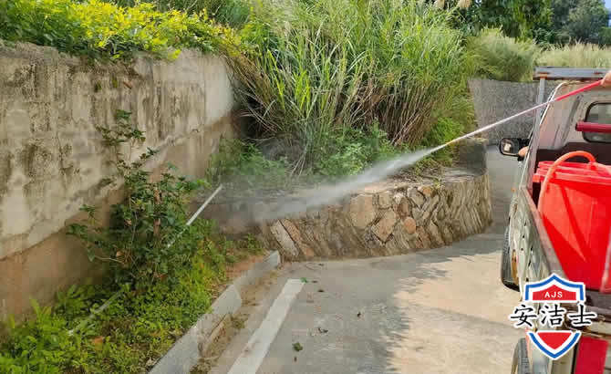 丽水道路堤坝白蚁防治
