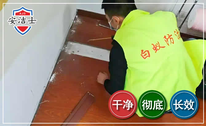 丽水除四害现场