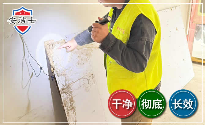 丽水除白蚁现场