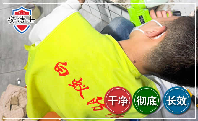 丽水白蚁根治现场